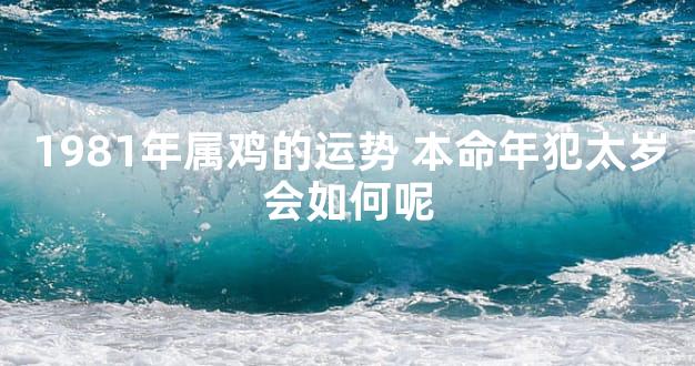1981年属鸡的运势 本命年犯太岁会如何呢
